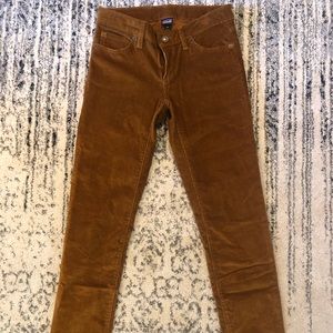 Patagonia Fitted Corduroy Pants